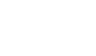 bv-solutions