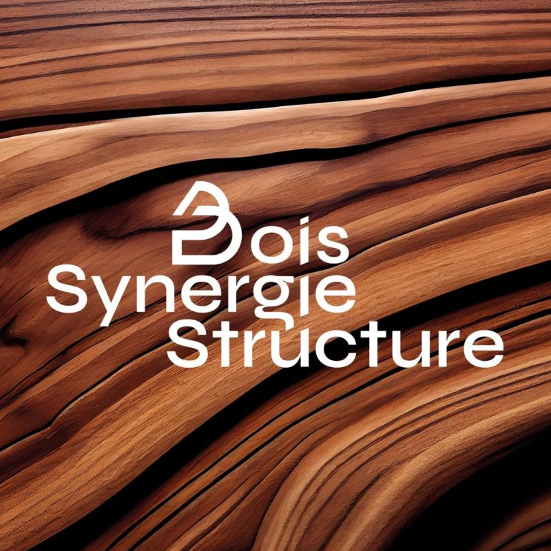 boissynergiestructure